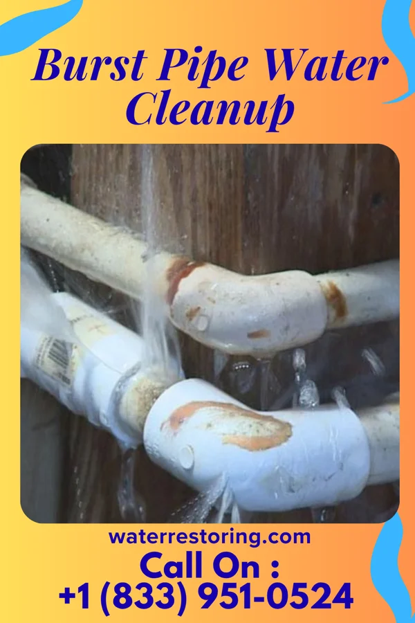 Burst Pipe Water Cleanup in Seaside Heights, NJ