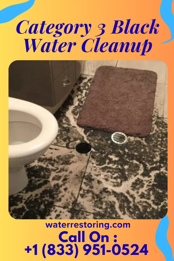 Category 3 Black Water Cleanup in Seaside Heights, NJ