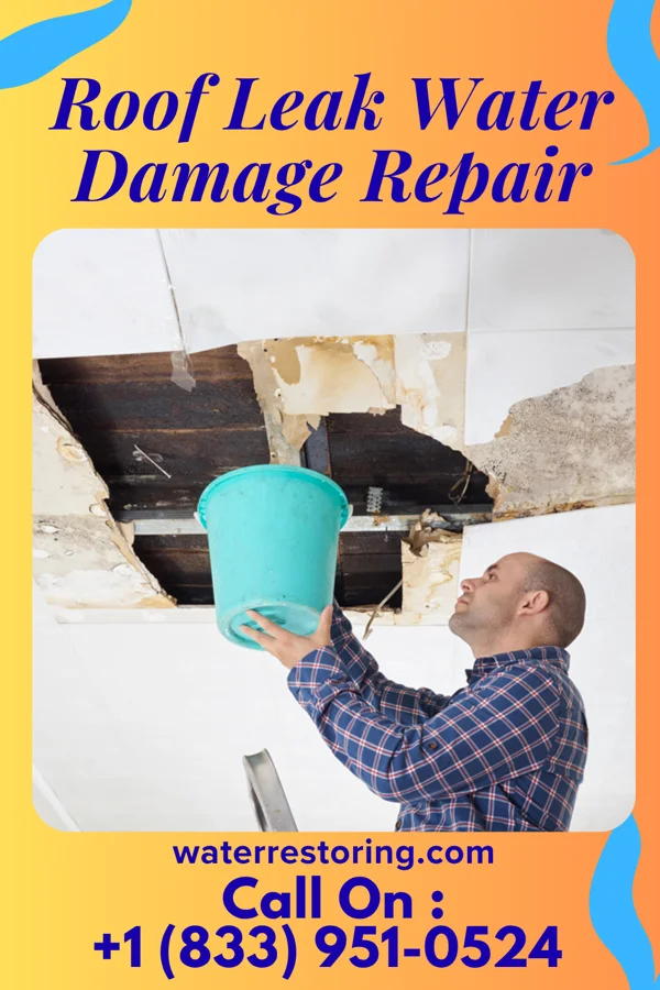 Roof Leak Water Damage Repair in Seaside Heights, NJ