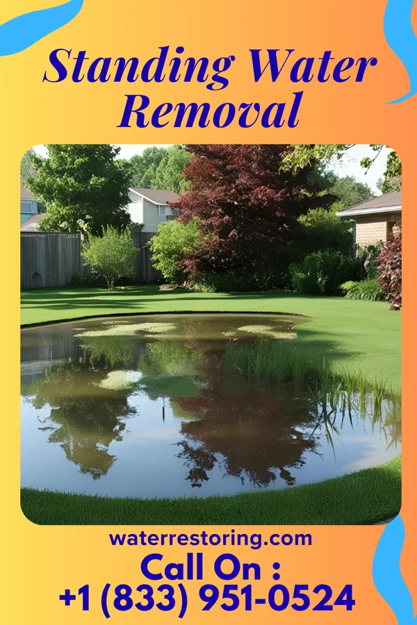 Standing Water Removal in Seaside Heights, NJ